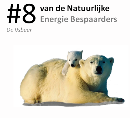 #8 van de natuurlijke energie bespaarders: de ijsb...
